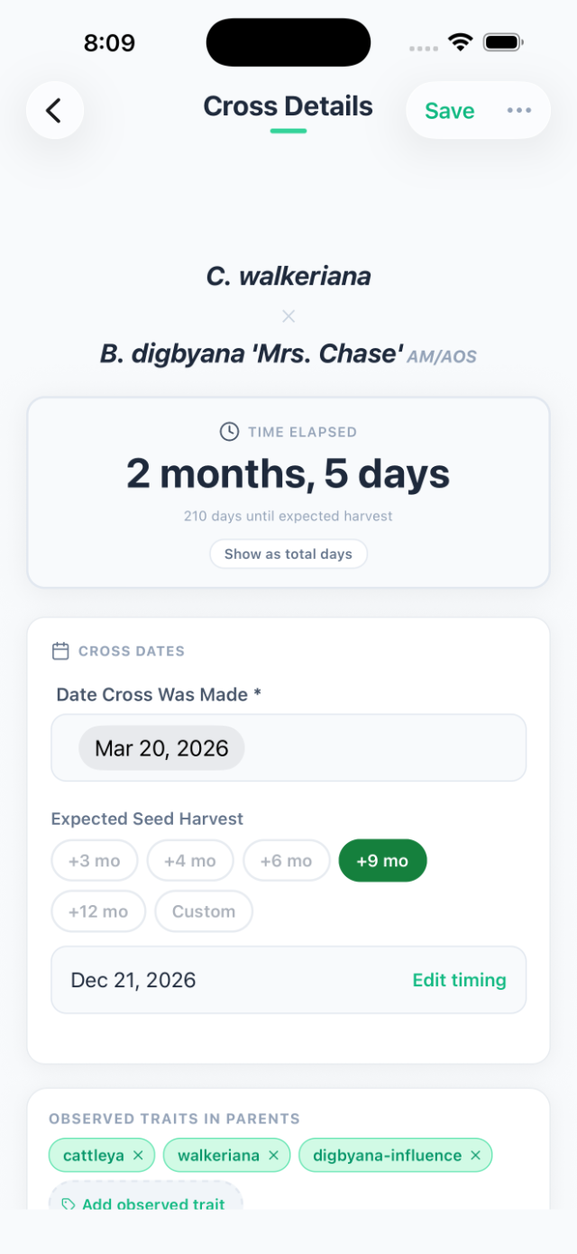 Leafolio cross details screen showing parentage, time elapsed, and expected seed harvest
